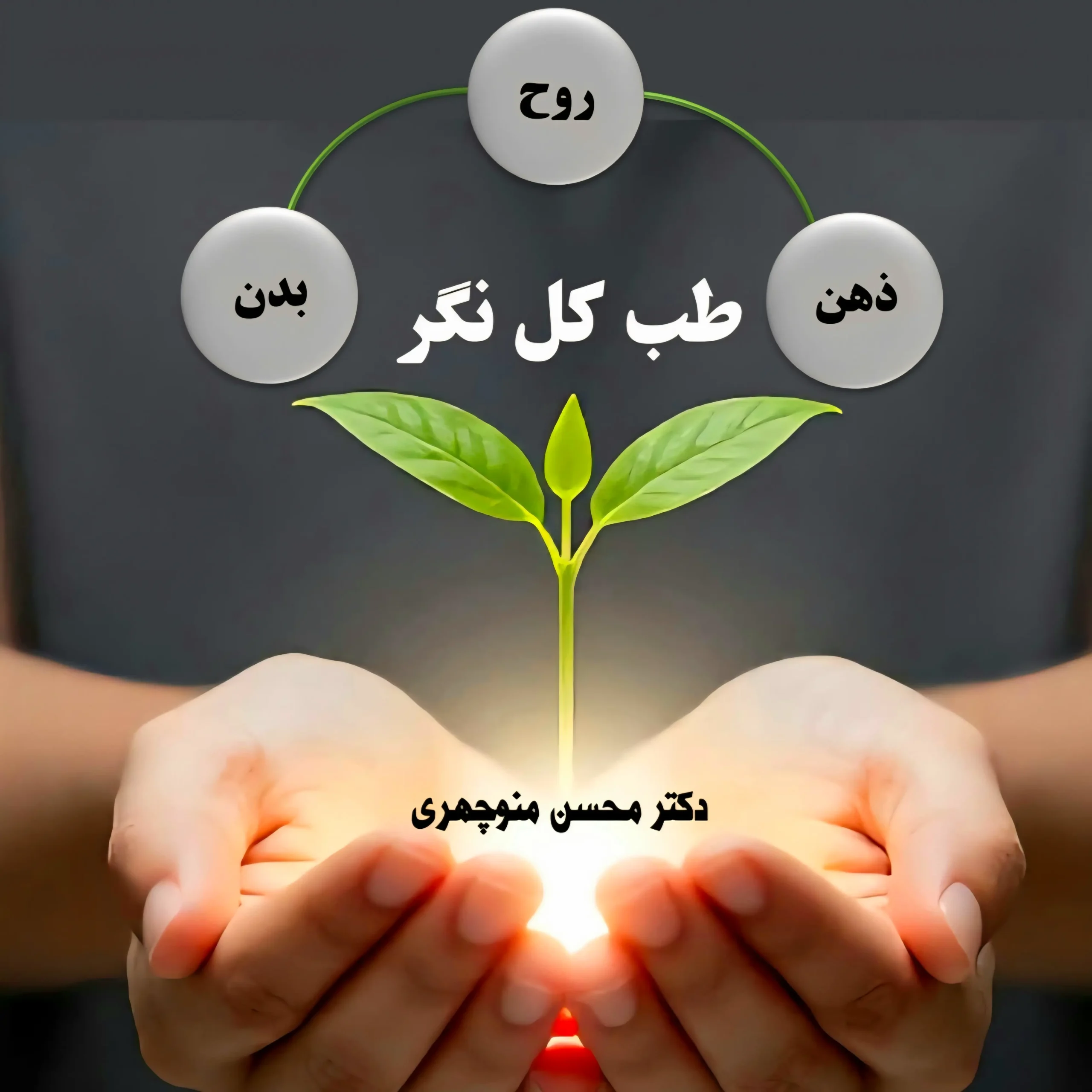 اسکیزوفرنی در آینه طب کل نگر: نگاهی ۳۶۱ درجه