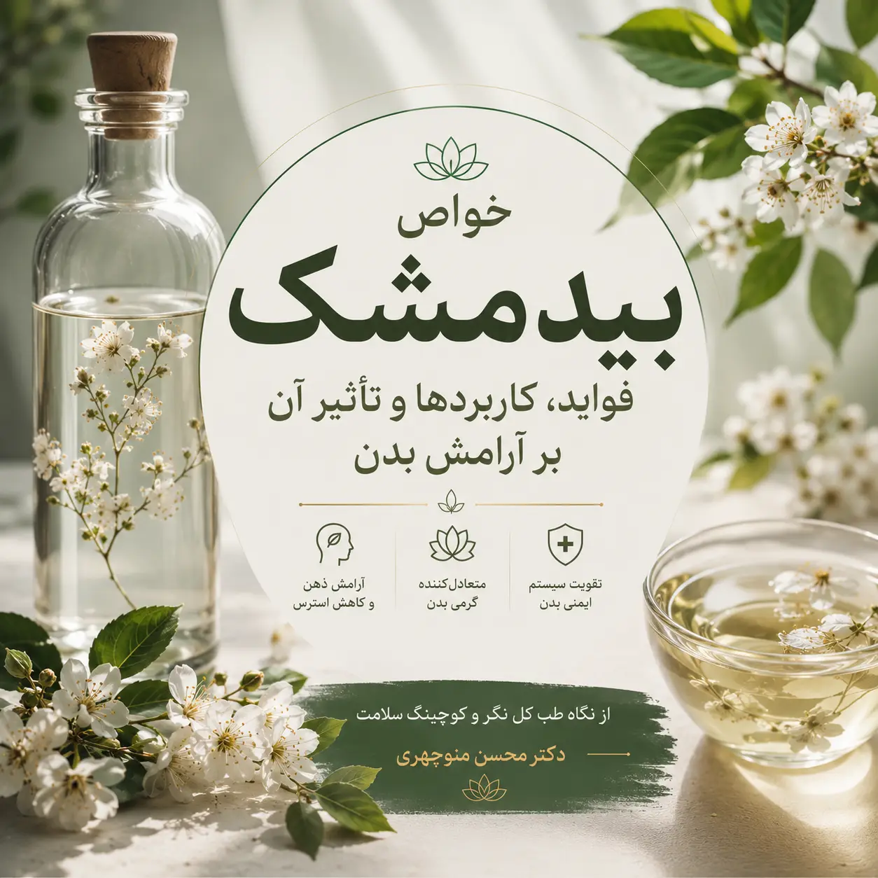 خواص بیدمشک چیست